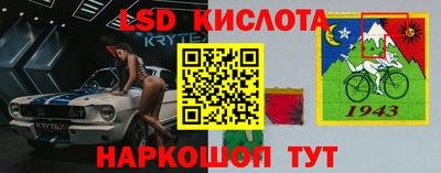 твердый Будённовск