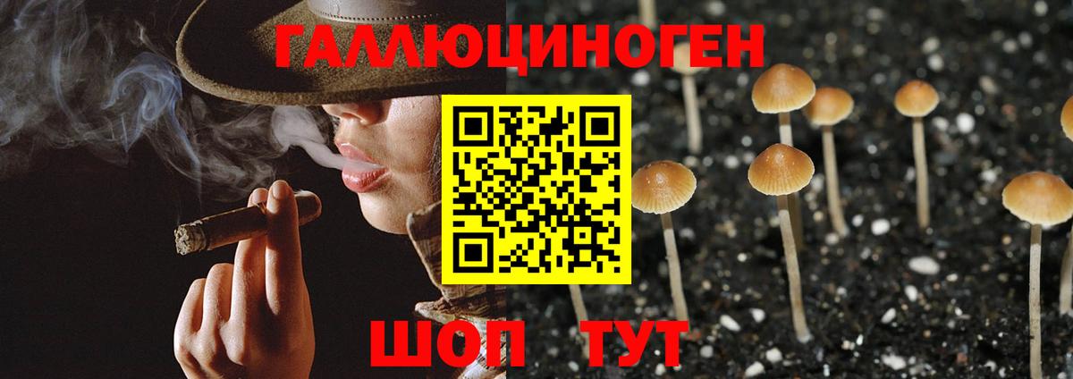 Псилоцибиновые грибы Magic Shrooms  Псилоцибиновые грибы GOLDEN TEACHER  Раменское  Вход с VPN 